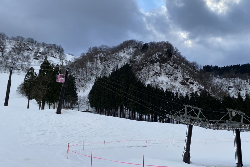 雪にピンクが映えますね。