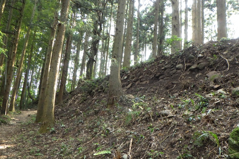 舟岡山城跡