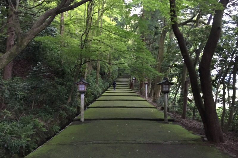 表参道から境内に入ります