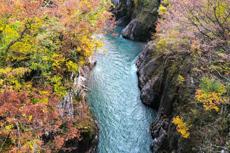 紅葉の手取峡谷