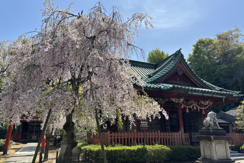 尾崎神社
