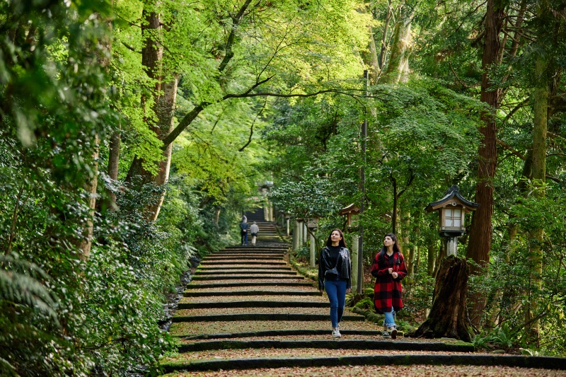 白山比咩神社表参道