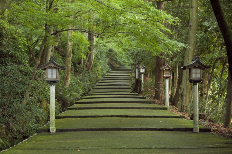 Shirayama Hime Shrine main approach　白山比咩神社表参道
