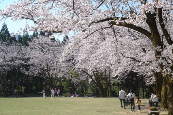 石川県樹木公園