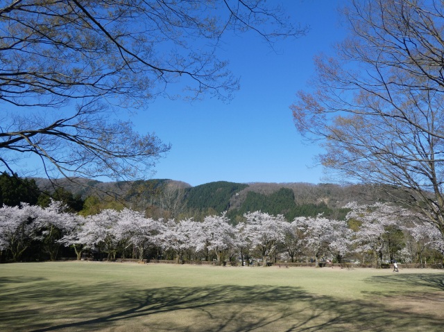 石川県樹木公園