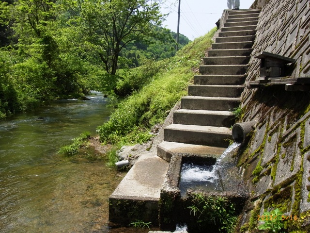 柳原の水