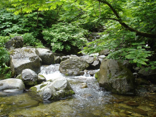 釣り体験　白峰漁業協同組合