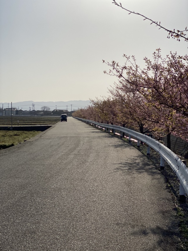 2023年3月14日