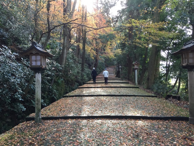 白山比咩神社 表参道