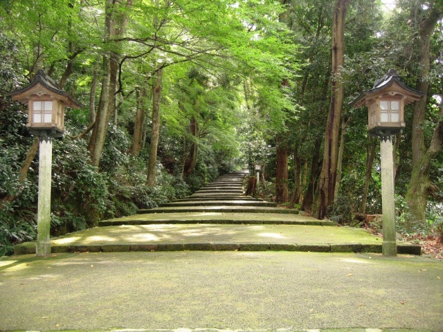 「白山比咩神社」の表参道