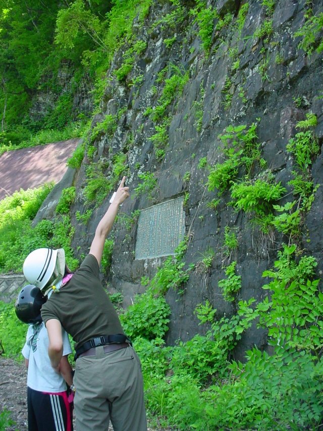 桑島化石壁