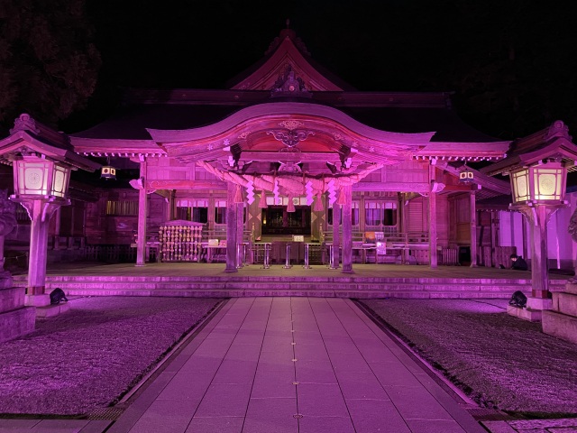 週末に開催中！白山比咩神社ライトアップ