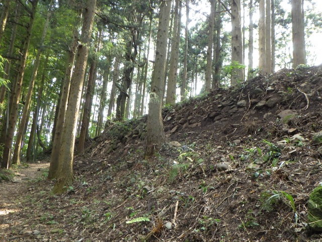 舟岡山城跡
